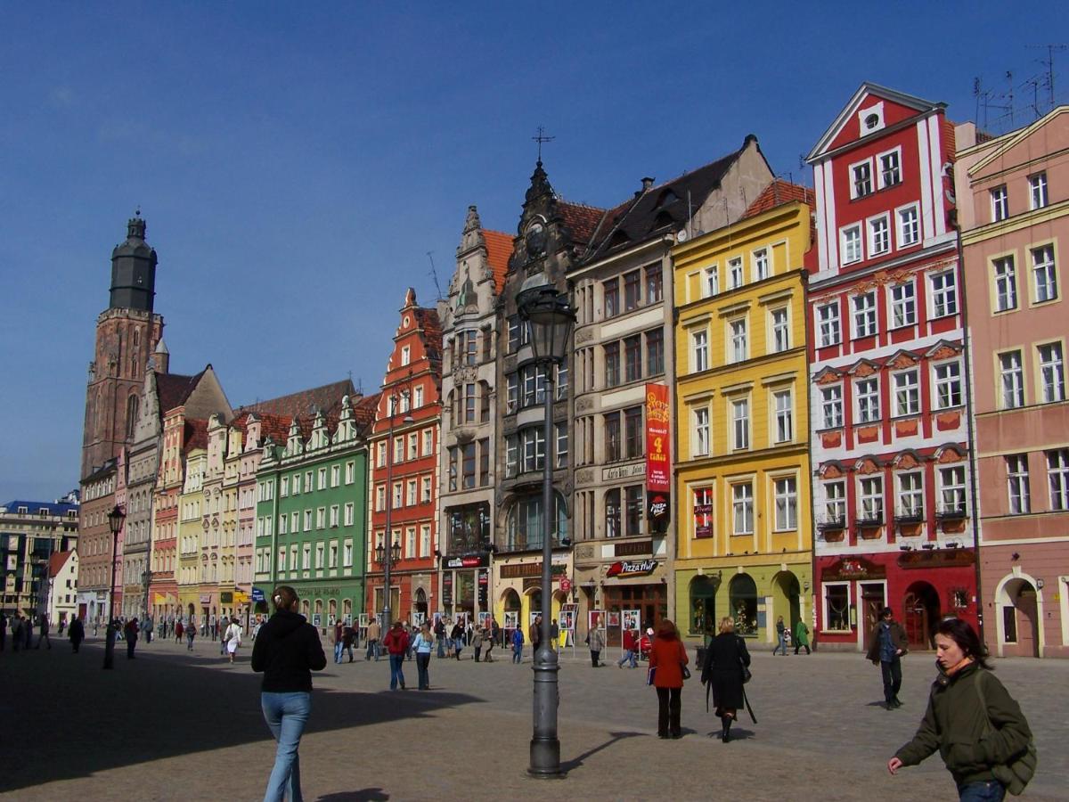 Grey Panther In The Heart Of * Wroclaw